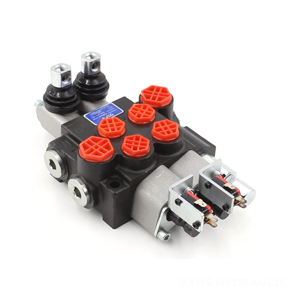 P40 Micro Switch Manuale 2 Spool Valvola direzionale monoblocco cover photo